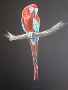 A green macaw in Gouache