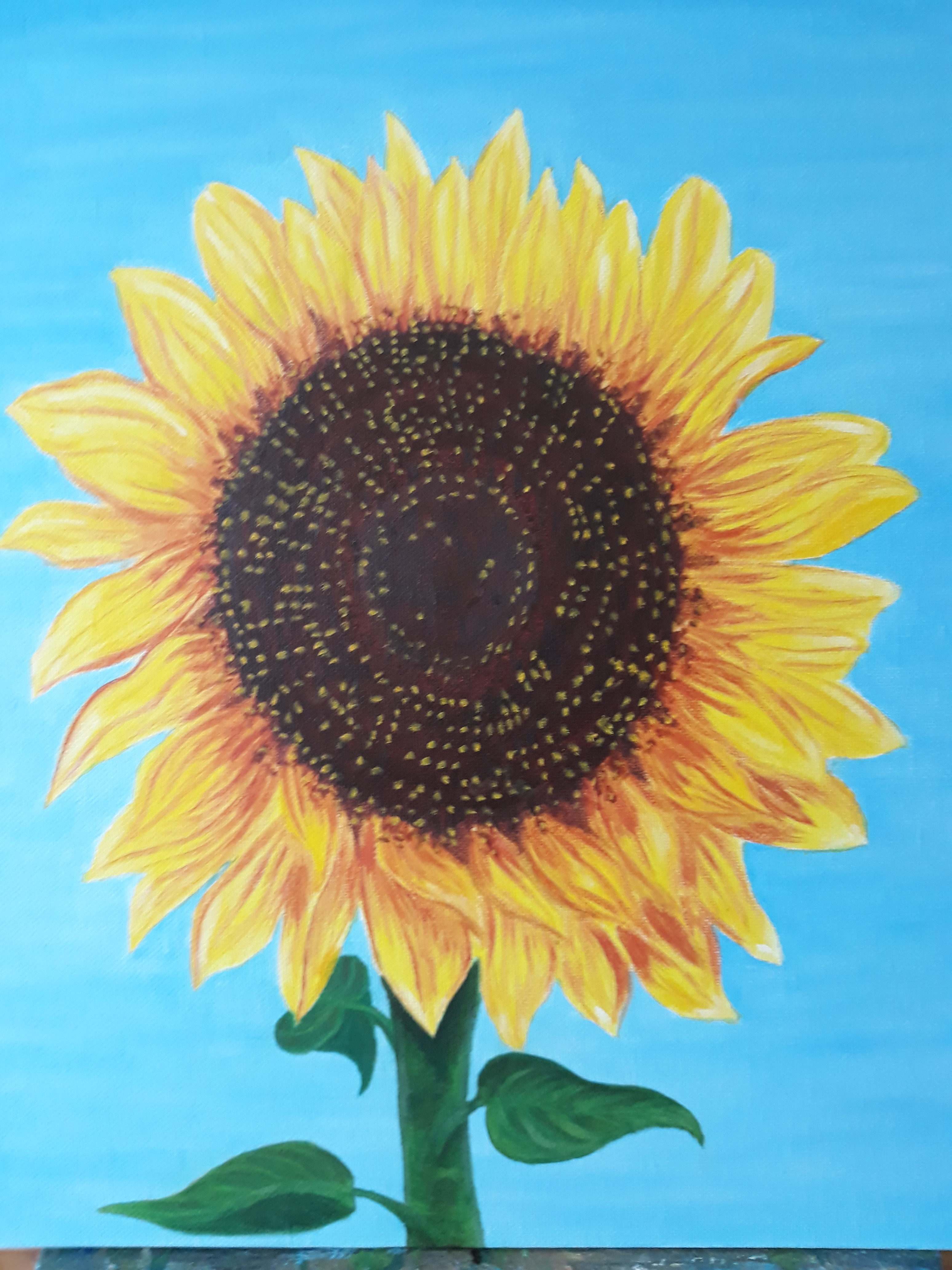 Sunny Appleton Yvonne Appleton - 'Sunny days' - SAA
