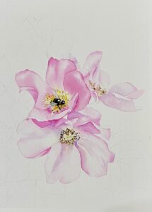 watercolour botanical rose pink