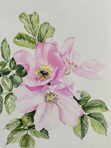 watercolour botanical rose pink