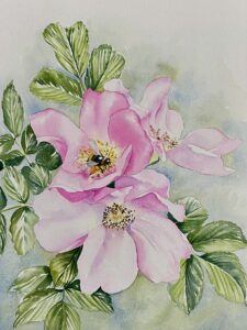 watercolour botanical rose pink