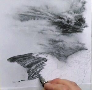 Charcoal Kingfisher