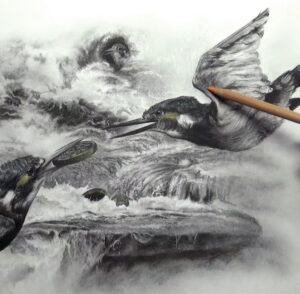 Charcoal Kingfisher