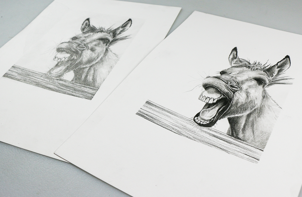 Two drawings of Murphy the Mule. One drawing is using Faber Castell Graphite pencils and the other is identical but has been created using the matt pencils.