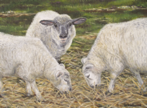 'The Three Grazers'. Oil on canvas (one of my first ever oil paintings).