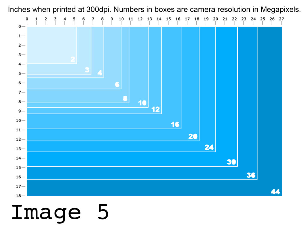 How To Photograph Your Artwork | Becky Gouverneur - SAA