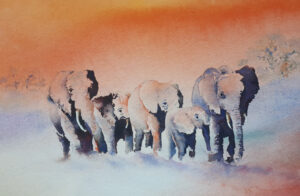 Elephants on the Move