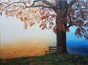 The Old Bench Under The Tree