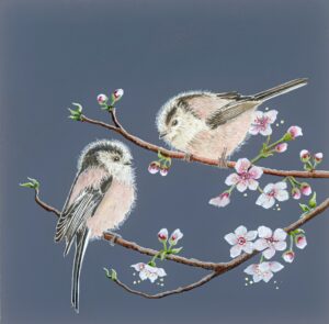 Long tailed Tits