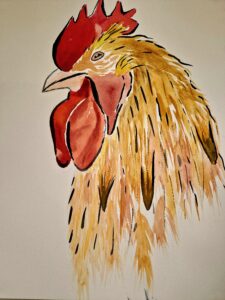 Cockerel