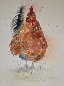 Strutting chicken