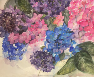 Hydrangea Love