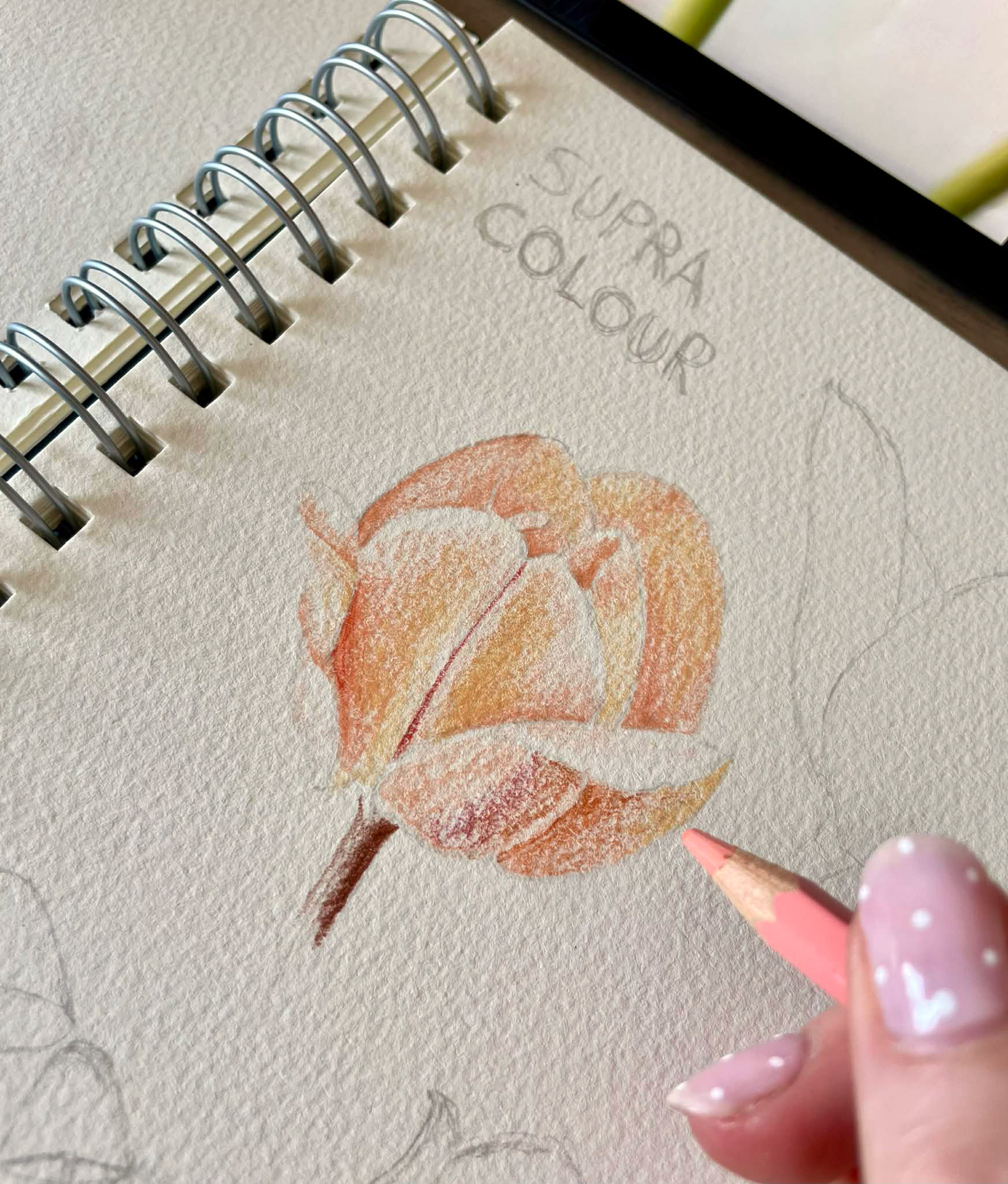 Caran D'Ache x Nina Cosford Supracolor Review: Tried & Tested by