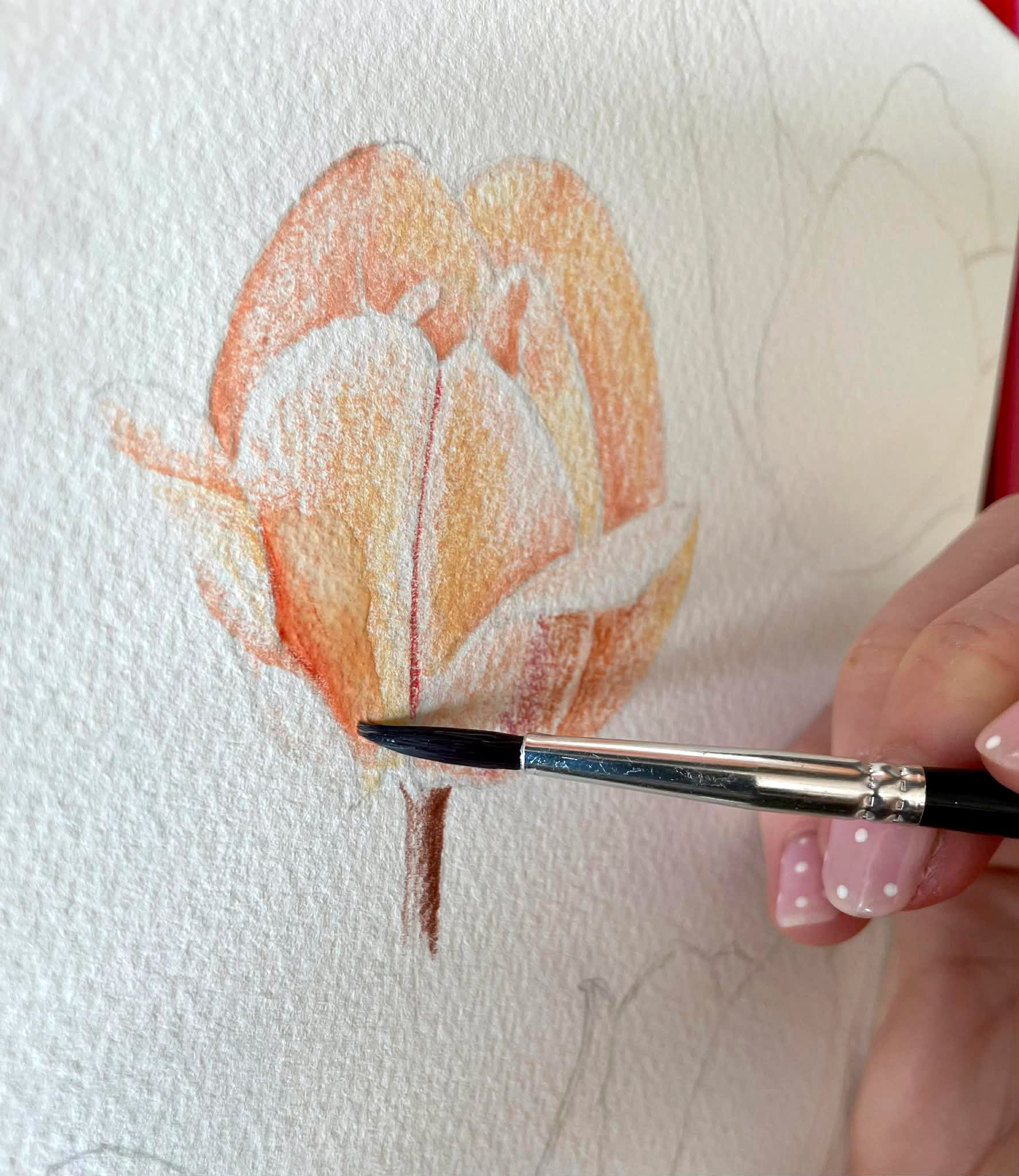 Caran D'Ache x Nina Cosford Supracolor Review: Tried & Tested by