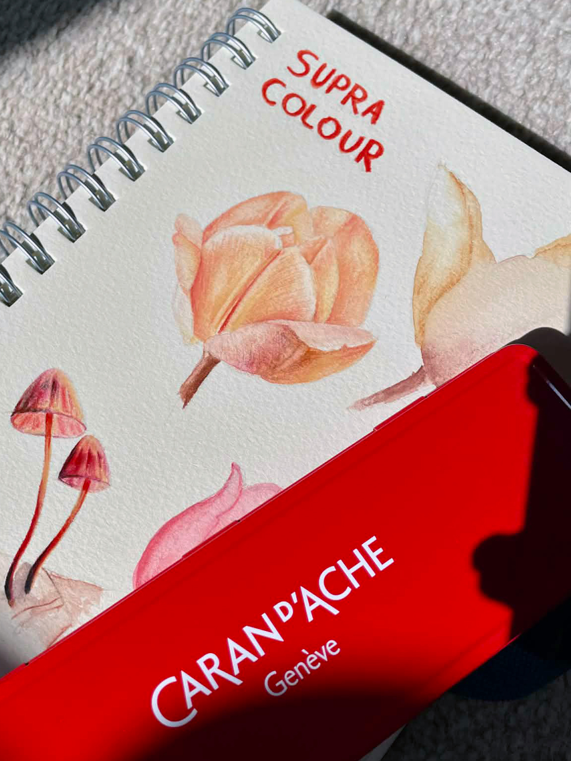 Caran D'Ache x Nina Cosford Supracolor Review: Tried & Tested by